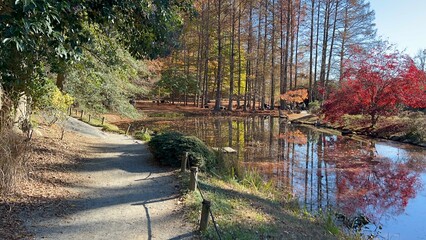 May mount Japanese nature park trail