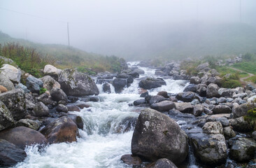 streams and nature in spring. Camlihemsin, Rize, Turkey
