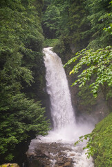 streams and nature in spring. Camlihemsin, Rize, Turkey
