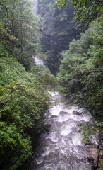 streams and nature in spring. Camlihemsin, Rize, Turkey
