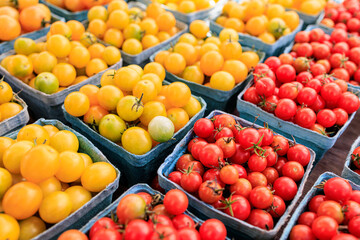 Fresh and organic tomatoes at farmers market
