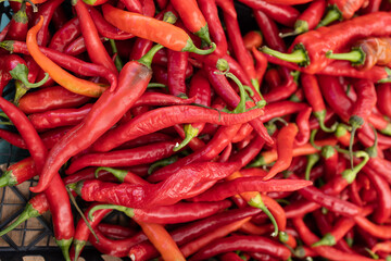 Fresh and organic chili pepper at farmers market