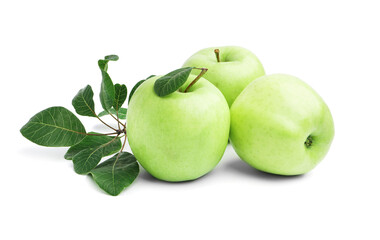Heap of ripe green apples and plant branch on white background