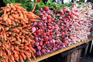 Fresh and organic carrots and reddish at farmers market
