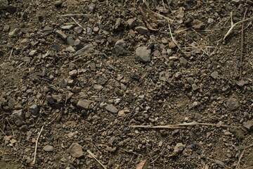 soil