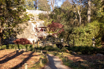 Japanese Garden trail with Bridge to walk on.
