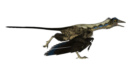 transparent © Elenarts