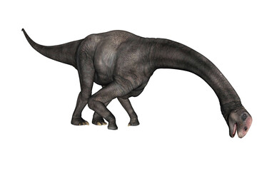 transparent © Elenarts