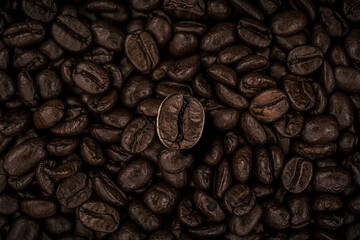 Close up of roasted coffee beans for background, texture and design. Selective focus. One single bean