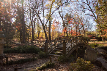 Japanese Garden trail with Bridge to walk on.