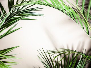 Natural and realistic exotic leaves background