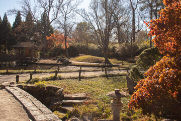 Autumn Trees in the park along a nature trail 