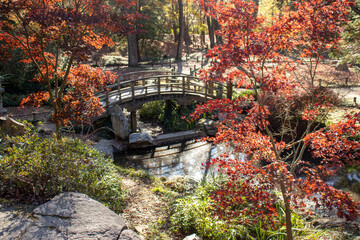 Japanese Garden trail with Bridge to walk on.