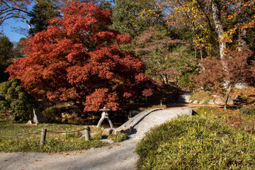 Japanese Garden trail with Bridge to walk on.