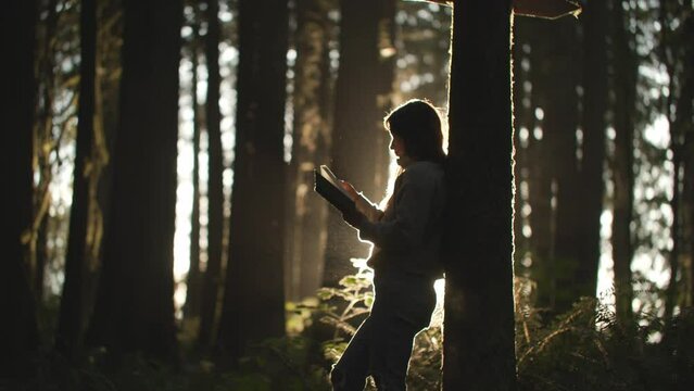 Girl reading book in forest at golden hour, backlit