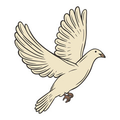 Dove bird hand drawn vector illustration