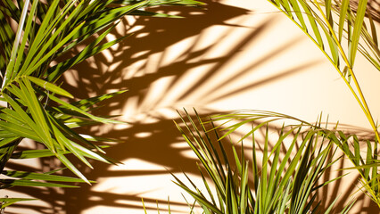 Hot tropical summer background. Exotic palm leaves design.