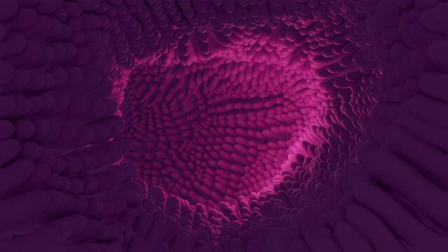 Intesetine macro microvilli 3d medical animation
