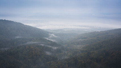 Fog shrouds the Walprechtstal in the Black Forest and the neighbouring Rhine plain