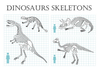 Dinosaurs skeletons line. Collection of graphic elements for website. Educational materials for children, bones and archeology. Cartoon flat vector illustrations isolated on white background