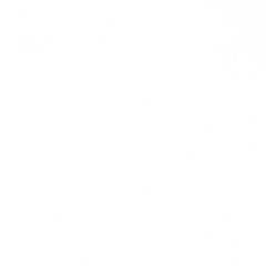 Snow Fall in winter. Snowflakes illustration.