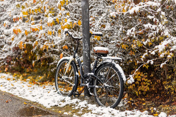 Bicycle covered with snow chained to light pole in front of green bushes first snow - Powered by Adobe