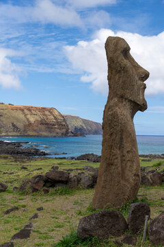 Moai statue with cliffs and ocean in background