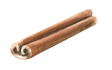 Watercolor cinnamon spice illustration. Hand-painted realistic detailed vintage drawing clipart, object isolated. Christmas, aroma,winter floral frame,bouquet,design, decor for greeting card,invite, 