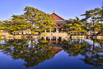 Beautiful scenery of Gyeongbokgung Palace in Seoul, 서울 경복궁의 아름다운 풍경들