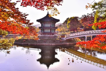 Fototapeten Lila Beautiful scenery of Gyeongbokgung Palace in Seoul, 서울 경복궁의 아름다운 풍경들  © MINHO