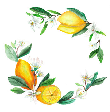 wreath of leaves and lemons. background for postcards. invitation design for wedding. elements for botanical pattern.