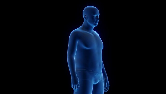 3d rendered medical animation of man's transformation to a heavier build