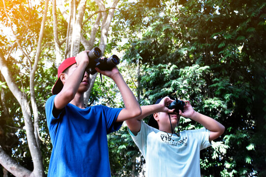 Asian boys are using binoculars to do the birds' watching in tropical forest during summer camp, idea for learning creatures and wildlife animals and insects outside the classroom.