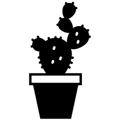 Cactus in a pot