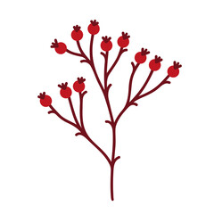 Rosehip branch vector icon. A bare twig of a wild or garden plant with ripe red berries. Hand drawn illustration of Christmas bush isolated on white. Forest tree sprig. Clipart for cards, cosmetics
