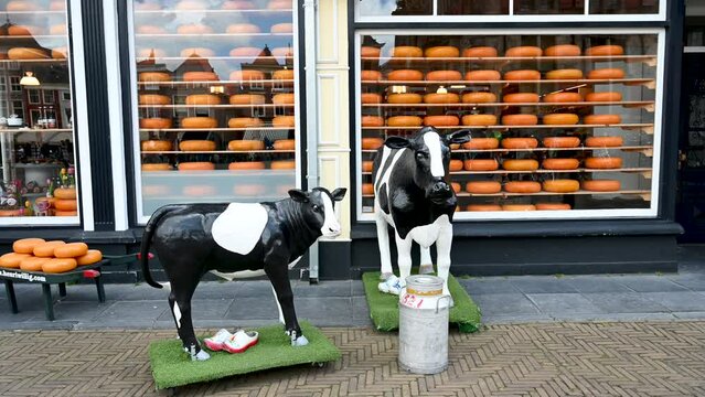Delft, Netherlands: A cheese shop in the Netherlands. Cow models