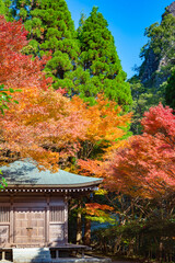鎮国寺頂峯院 大師堂の秋の風景	