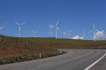 View of windmills in green summer. Wind turbines for electric power with clean and Renewable Energy