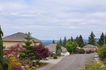 A perfect neighbourhood. Houses in suburb at Summer in the north America. Luxury houses with nice landscape.