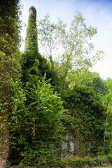 Normandy, France: abandoned asbestos factory, needs to be carefully cleaned-up, brake pads and clutch disks used to be produced here