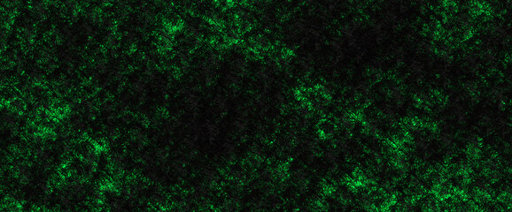 botanical texture, green plant background