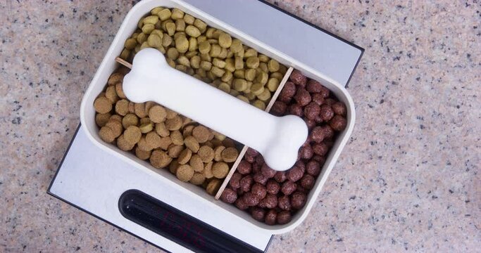Different dry granulated pet food in a plastic container with dividers, which stands on an electronic kitchen scale, top view, close up. Person puts a bone for teeth on top of this.