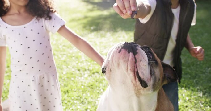 Happy, children and dog in a park for treats, animal training and playing together with bulldog. Kids, pet and animal bond with girl and boy in a garden, waiting for snack, command and learning