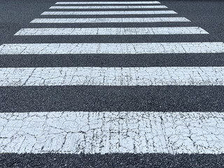 横断歩道