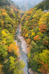 紅葉の山間に荒川の渓谷