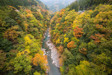 autumn in the mountains