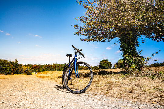 「バイシクル」の写真素材 207件の無料イラスト画像 Adobe Stock