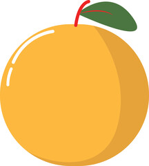 orange-colored fruit that has a fresh sweet taste, round shape and has green leaves, usually called citrus fruits
