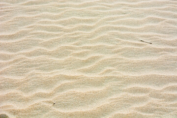 Sand texture background. Beach sand with wavy pattern..