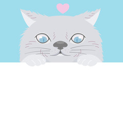 Persian cat looking at blank white space, flat vector illustration.